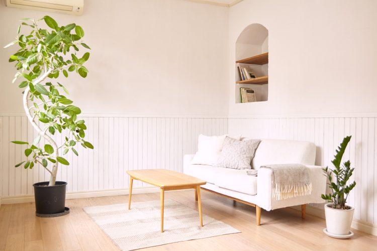 腰高の板壁とアーチ棚が背景のアクセントに