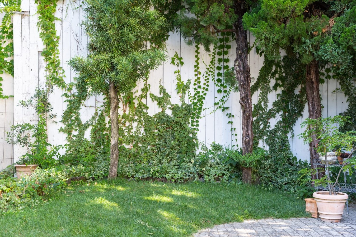 庭の奥は白い板壁とグリーン