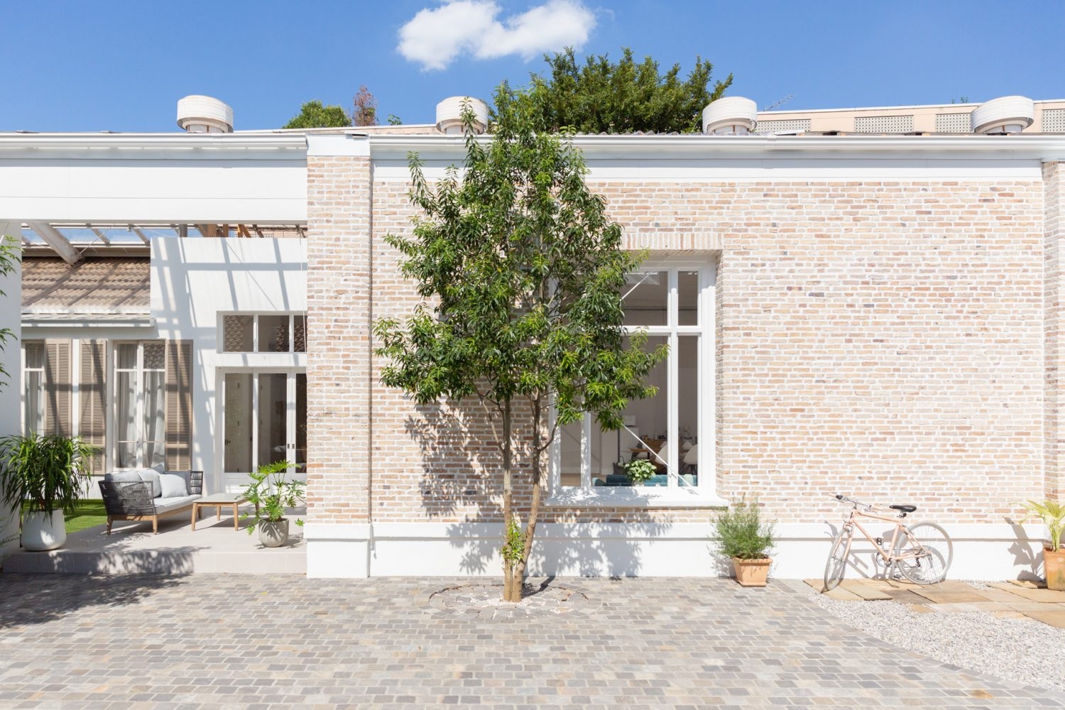 大きなシンボルツリーが印象的