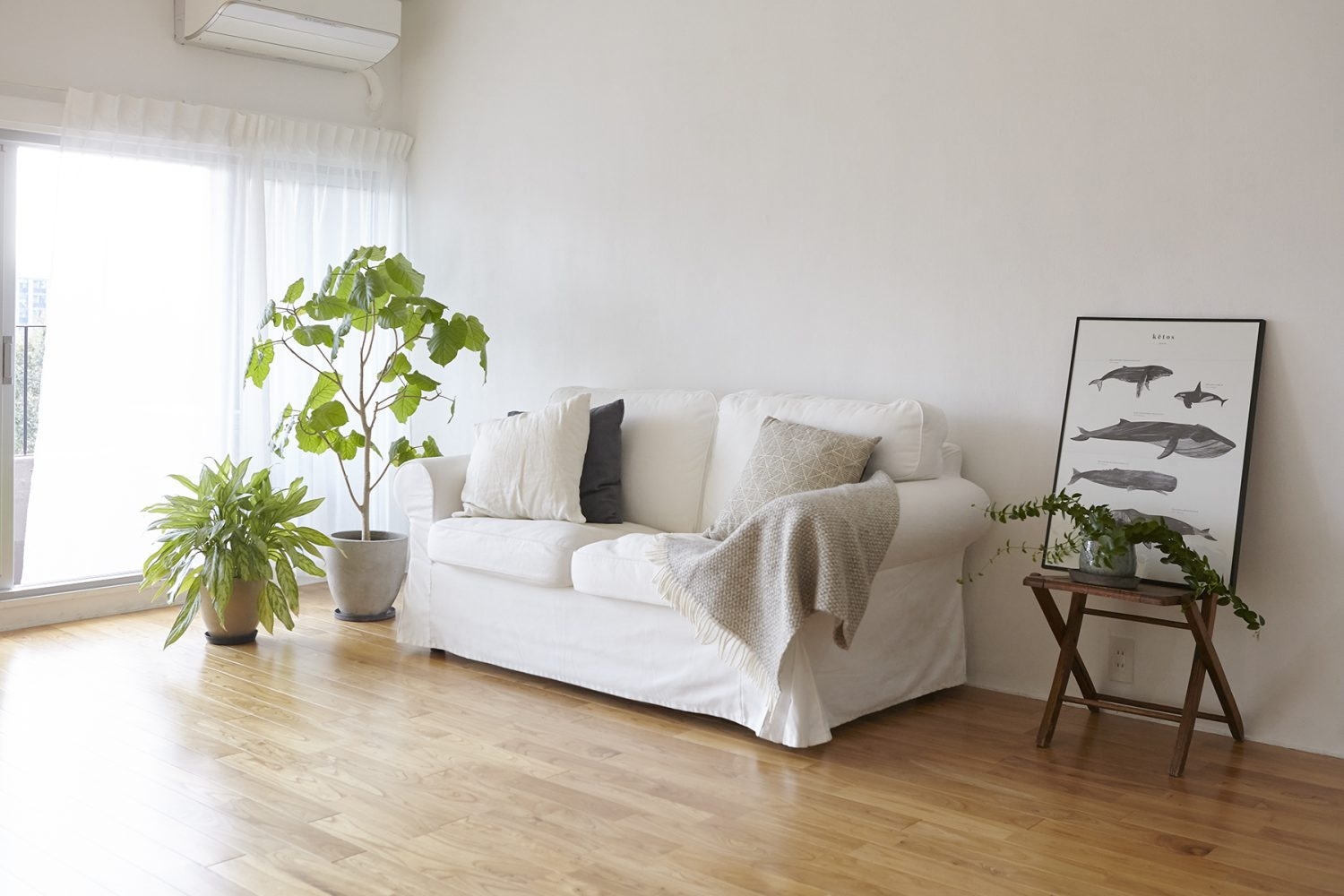 素敵なひとり暮らしを演出