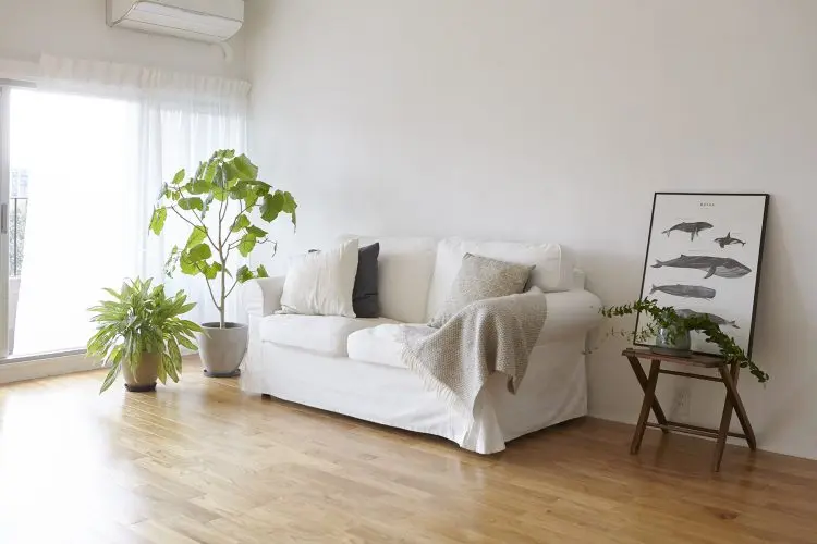 素敵なひとり暮らしを演出