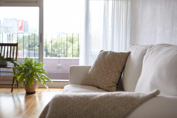 朝の光がさわやか