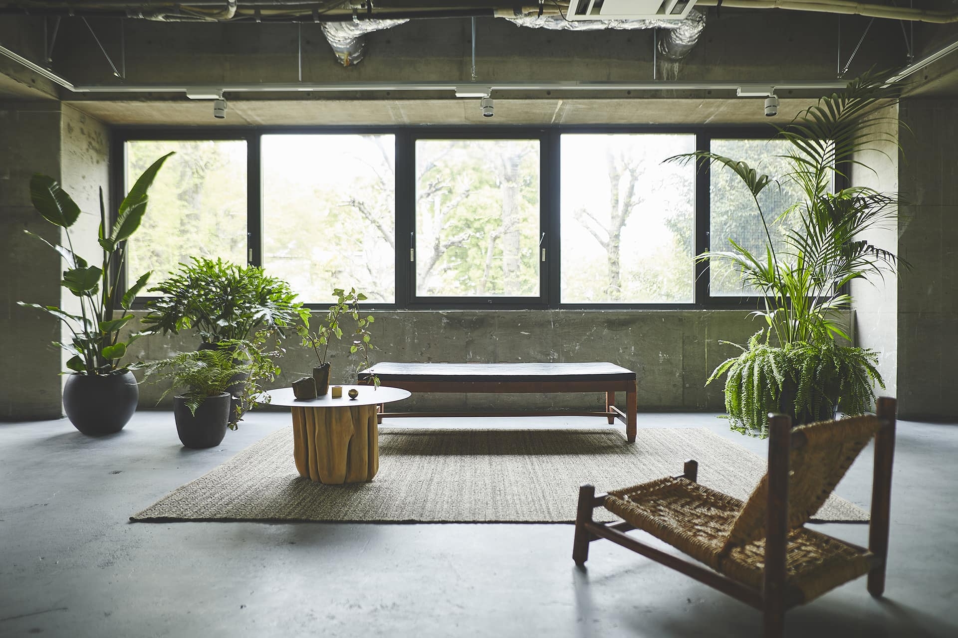 無機質な空間にグリーンが映える撮影スタジオ