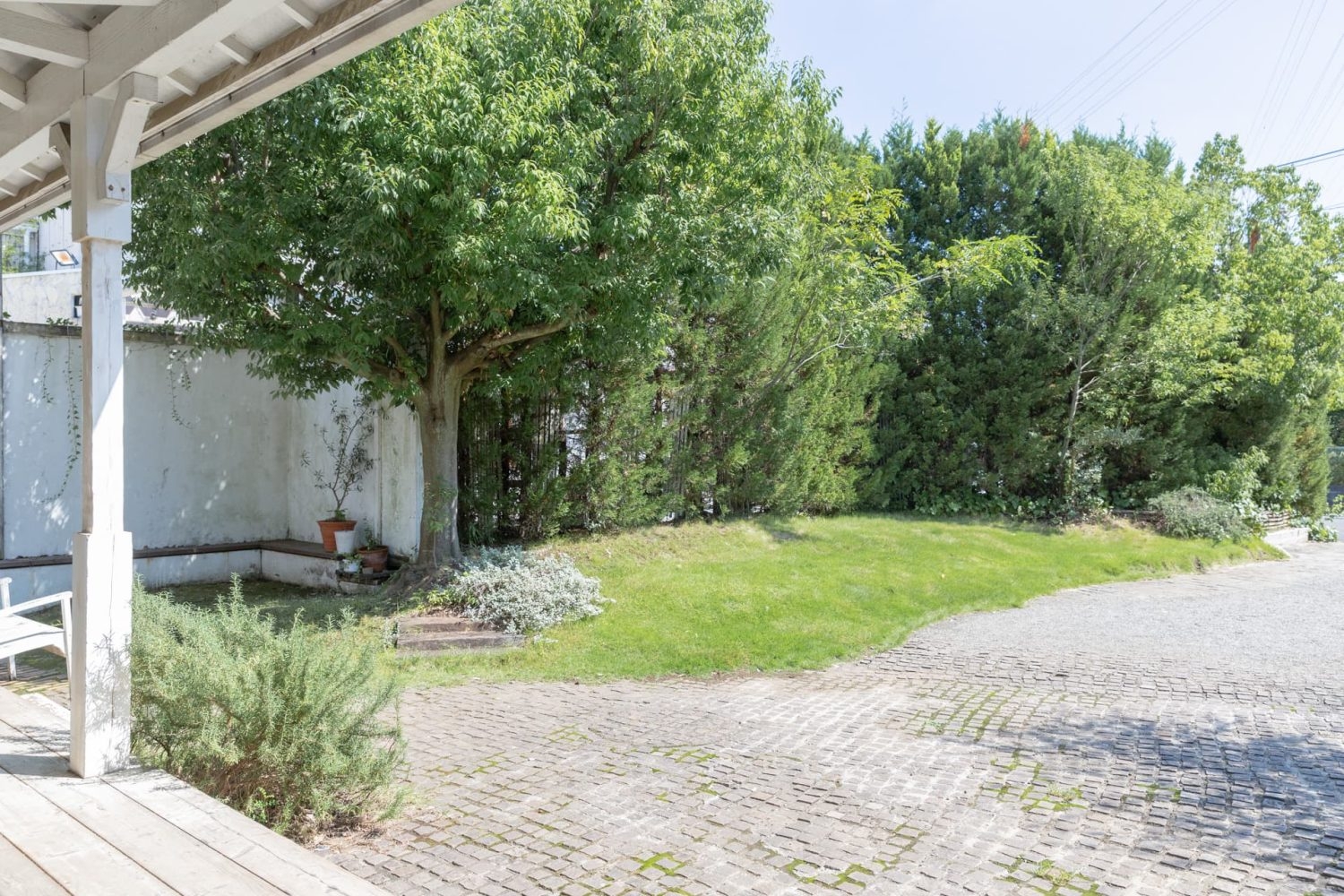 面積187㎡の広い庭