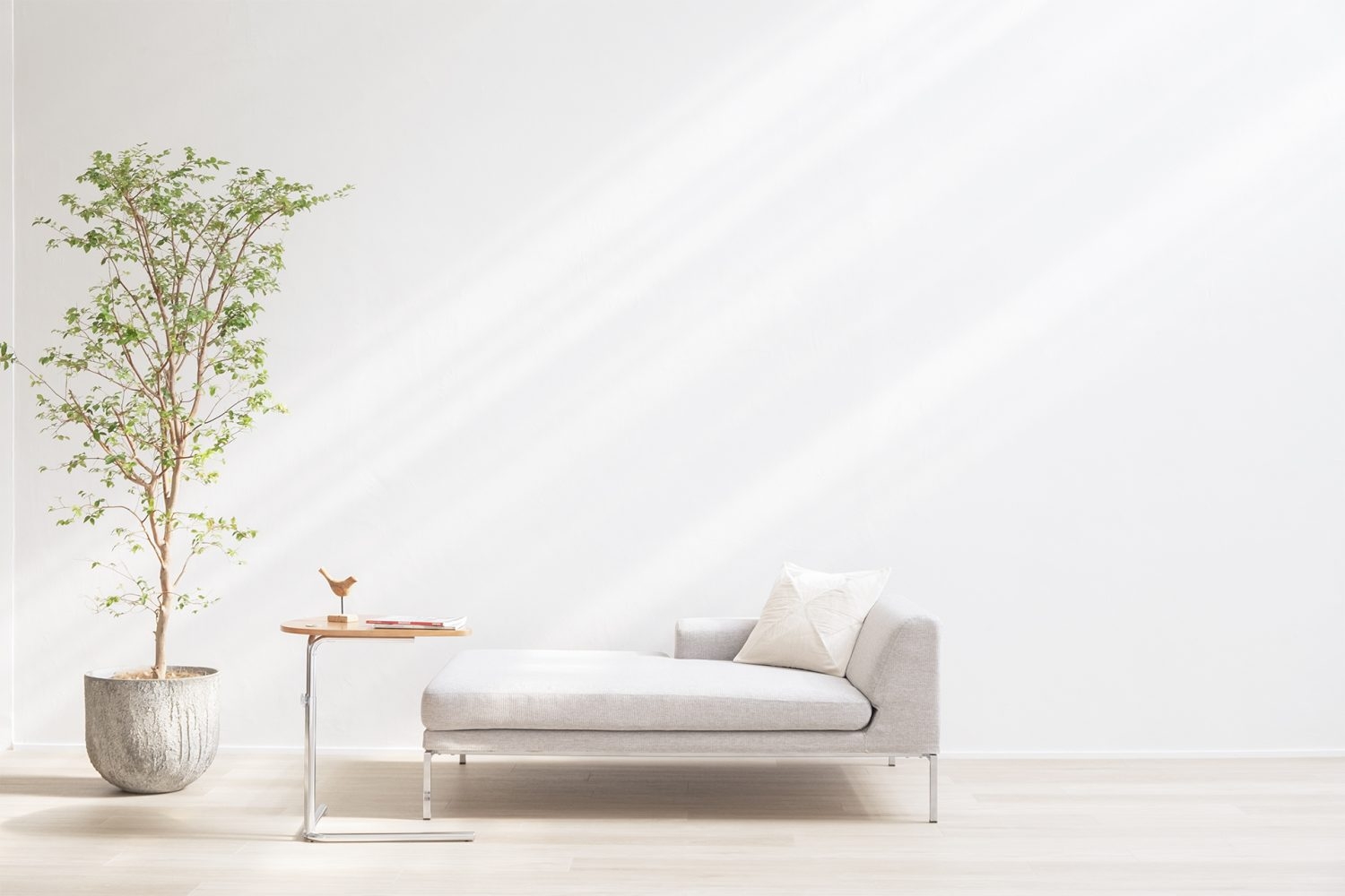 やさしい光が差し込む白壁