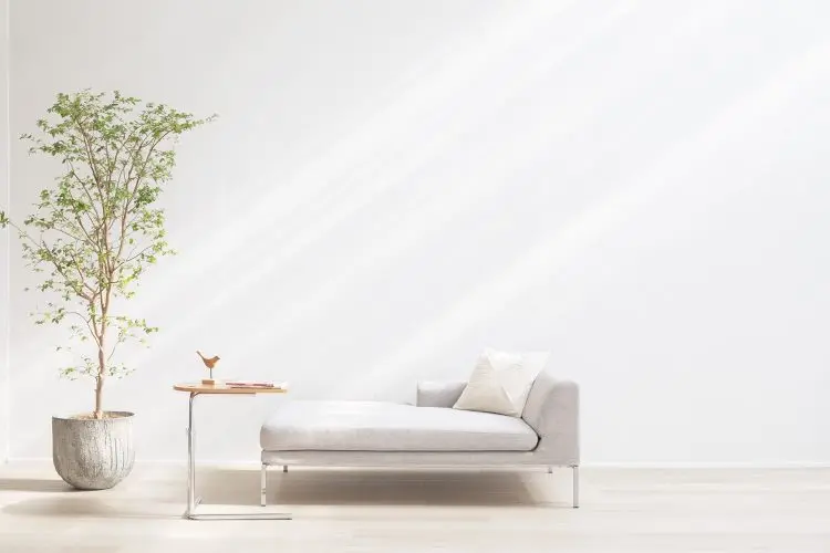 やさしい光が差し込む白壁