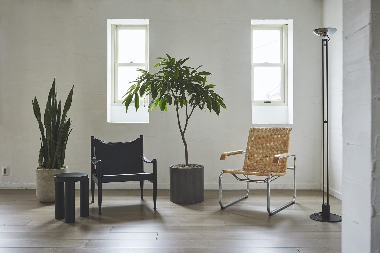 ポートレートやインタビューシーンにも