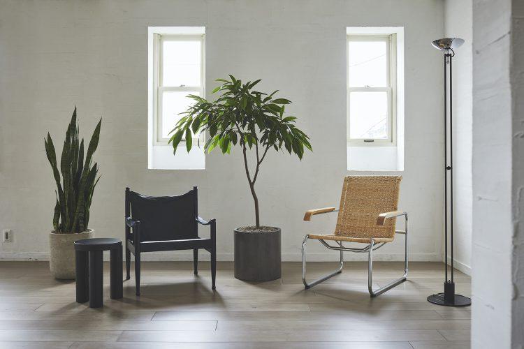 ポートレートやインタビューシーンにも