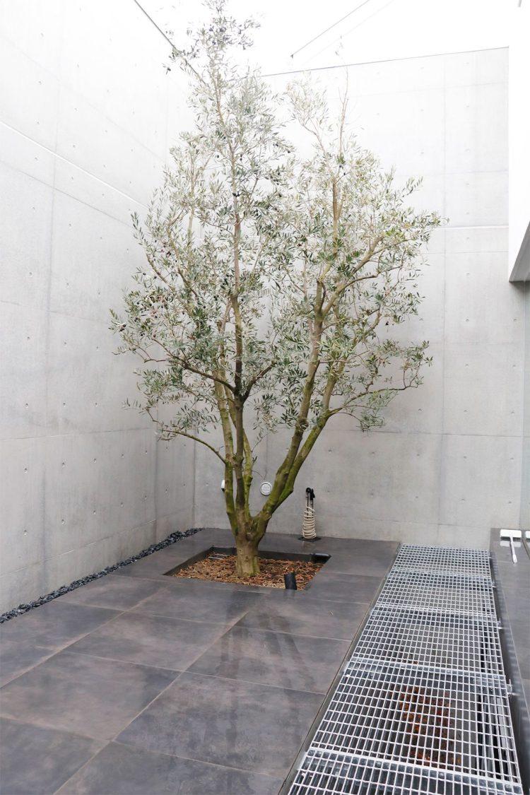 南西向きテラス