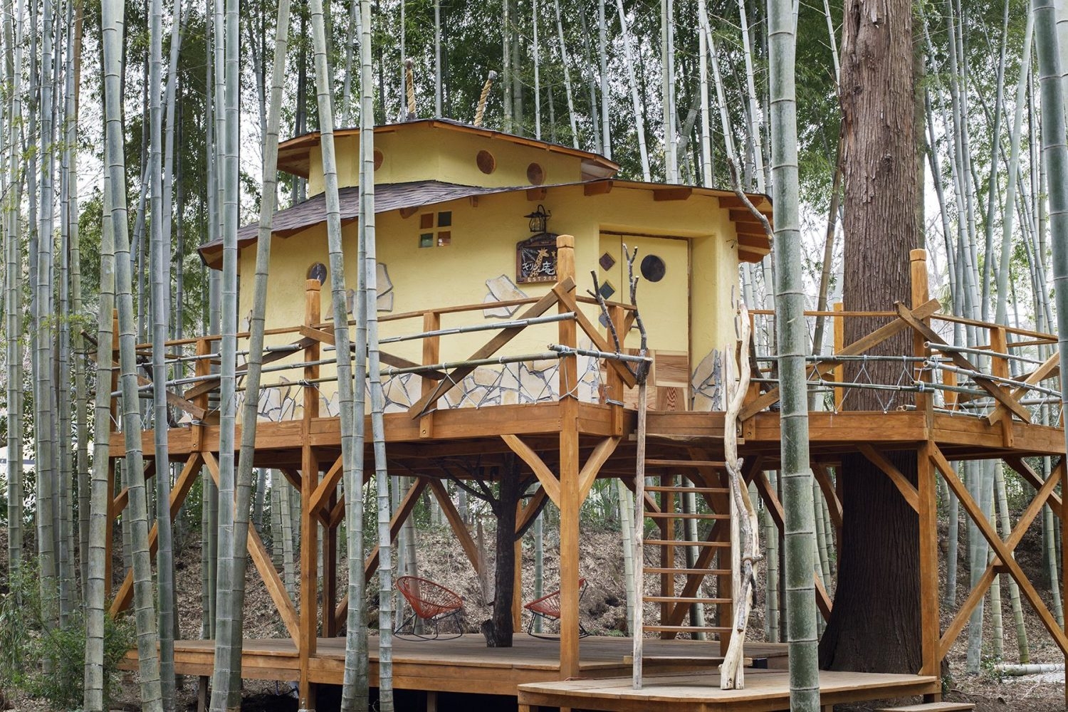 ツリーハウス