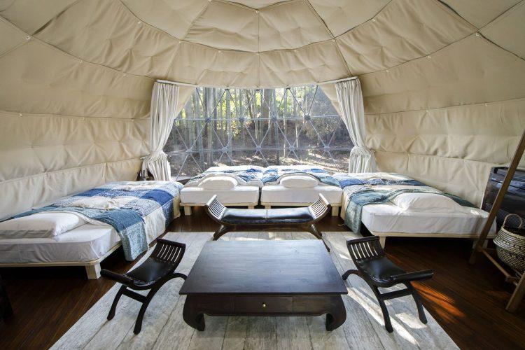 ドームテント屋内(2番棟)