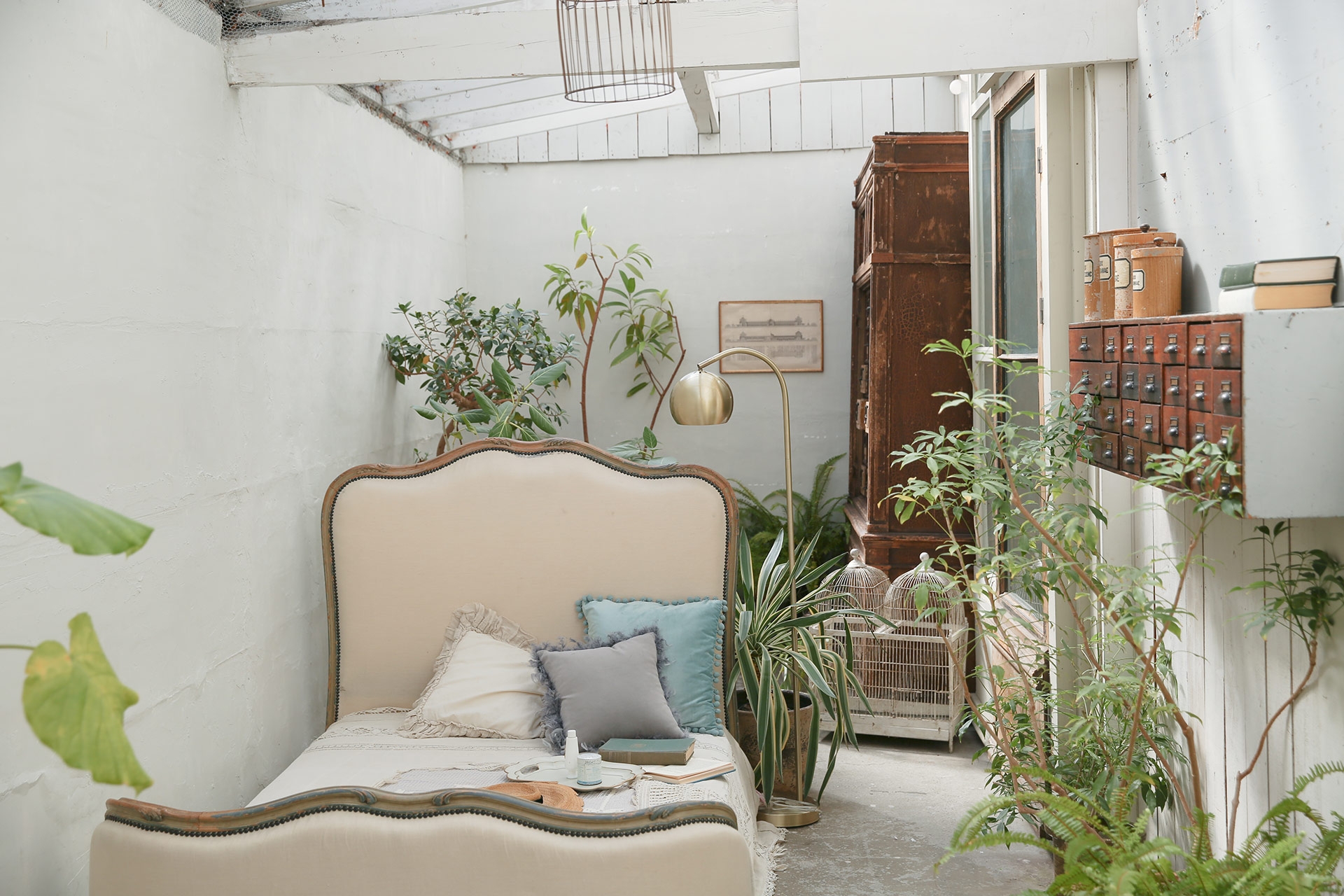 南側 グリーンの配置された温室