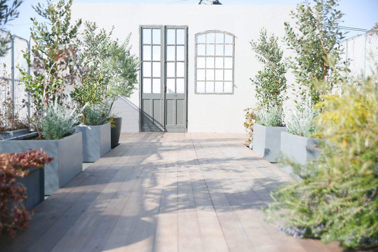 屋上ウッドデッキとグリーン植栽