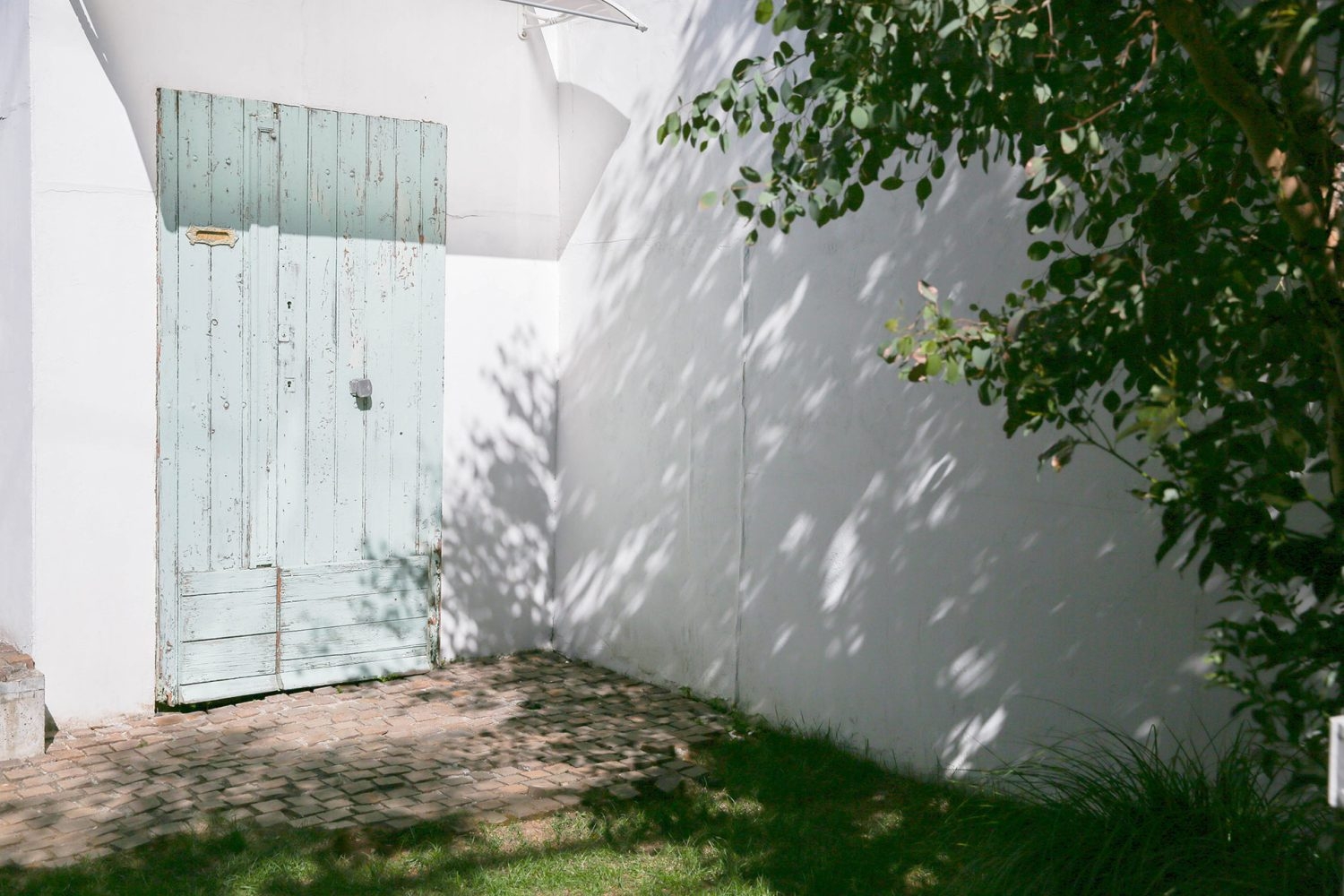 庭 グリーン扉と石畳