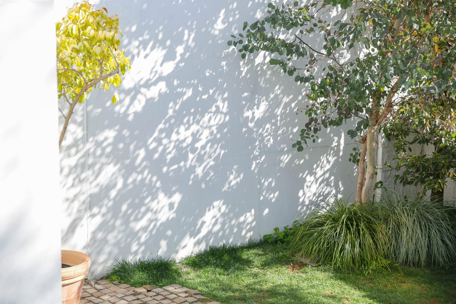 庭 木漏れ日が落ちる白壁