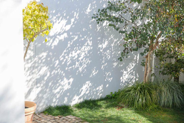 庭 木漏れ日が落ちる白壁