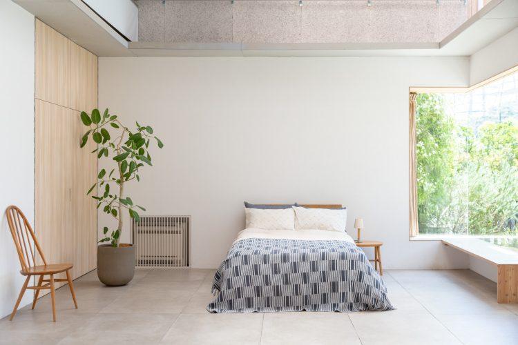 高い天井からやさしい光が降り注ぐ