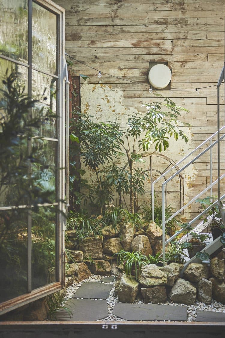 ガーデンの扉を開けて植物を楽しめます