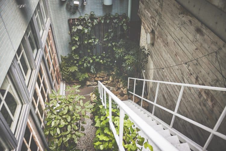 階段の上から見た植物も豊富