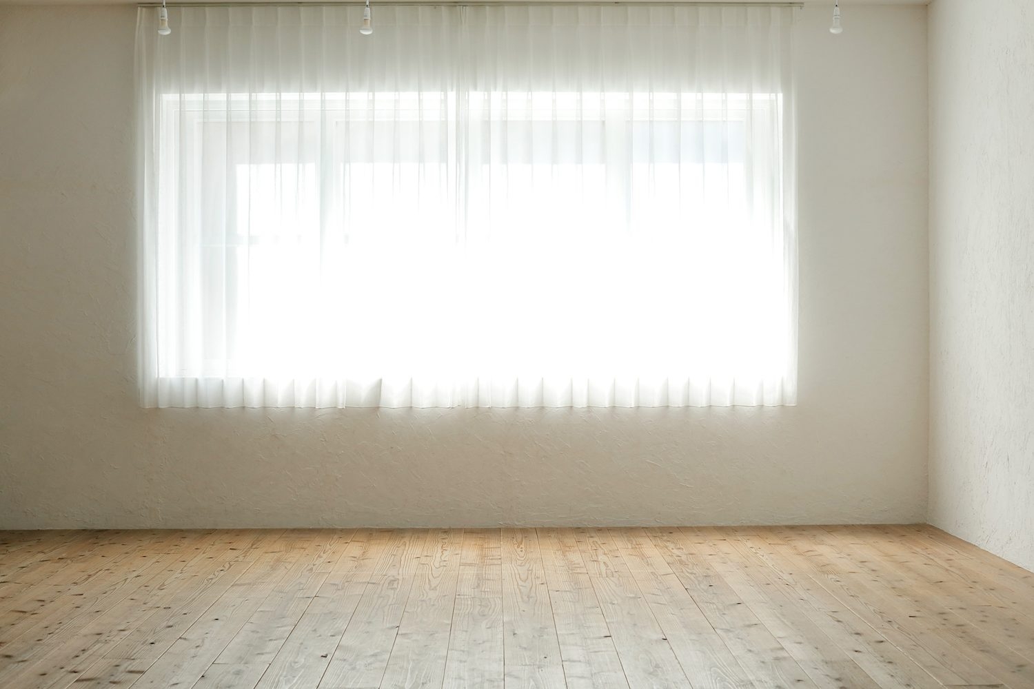 南向きの大きな窓