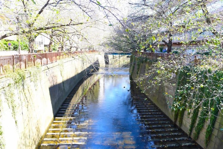 目黒川徒歩1分