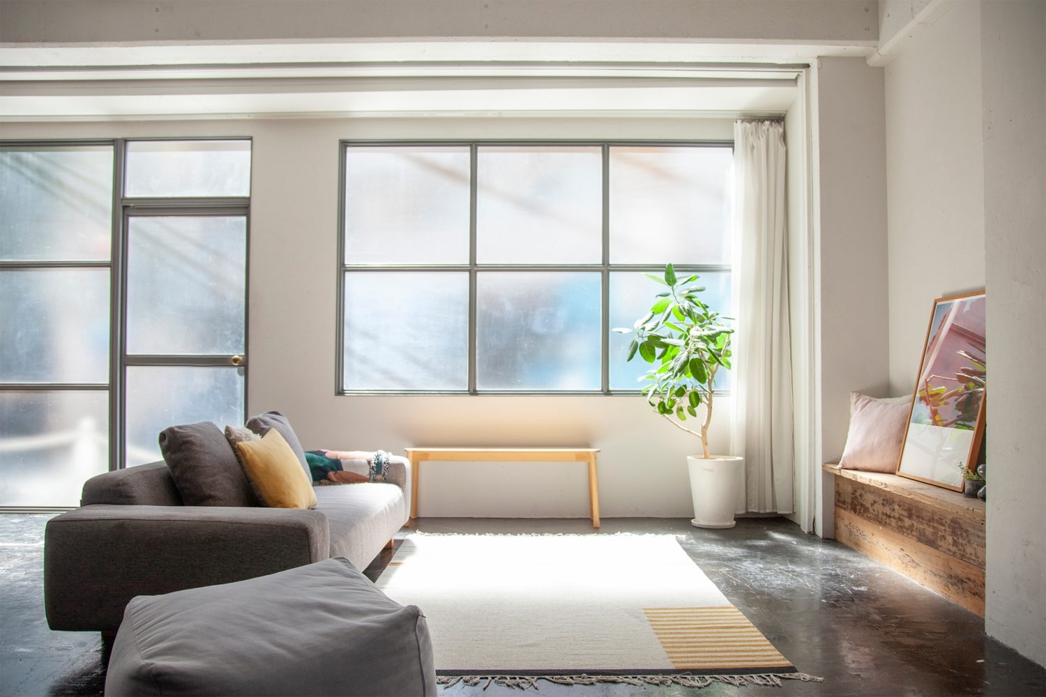 午後直射が入ります