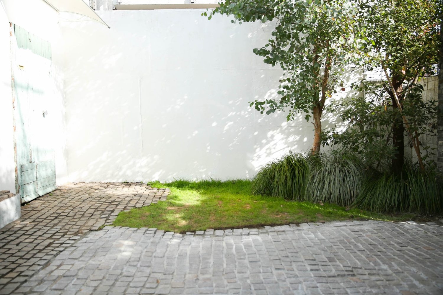 自然光の差込む外観