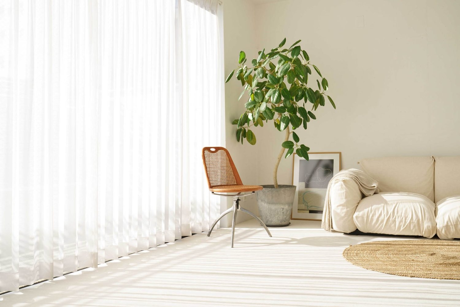 5F / 南側窓から差し込む光