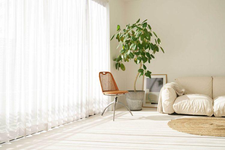 5F / 南側窓から差し込む光