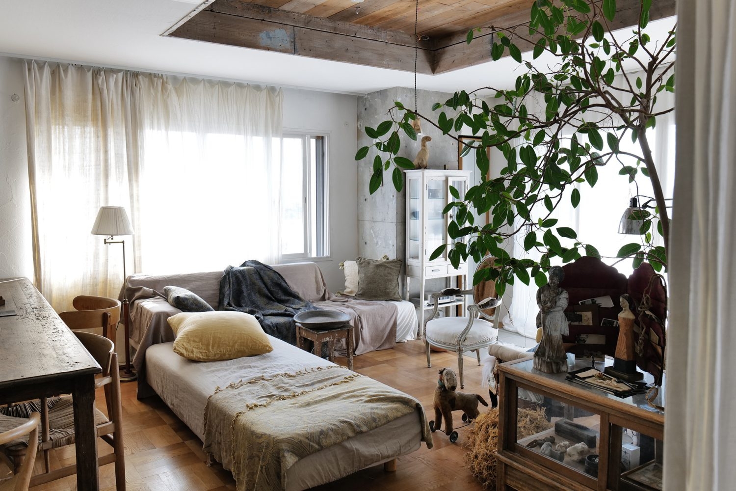 午前は西窓からの自然光がとても豊富