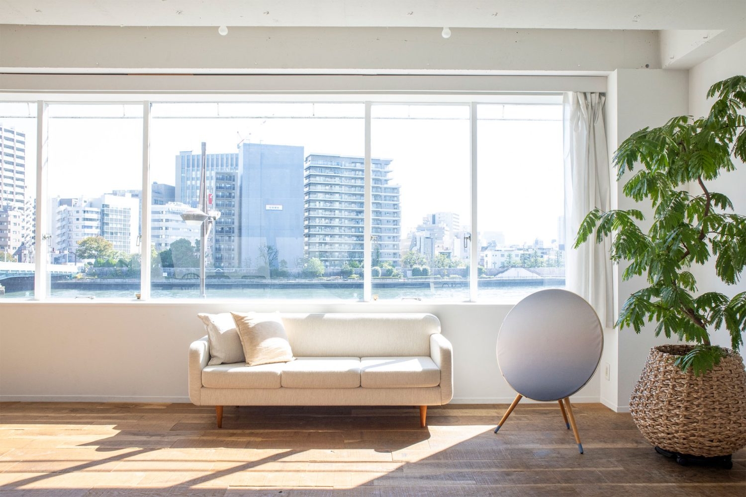 午前は隅田川方面から光が入ります