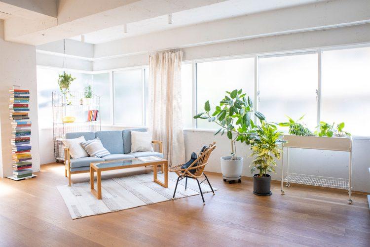 豊富なグリーンとソファのエリア