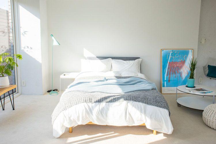 白壁にはお昼ごろ直射が入ります