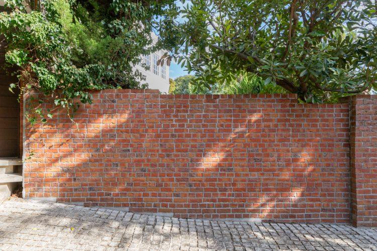 レンガの壁を背景に撮影も