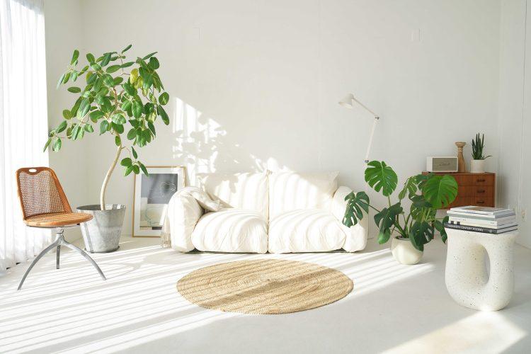 5F / 白絨毯と白壁のリビングシーン