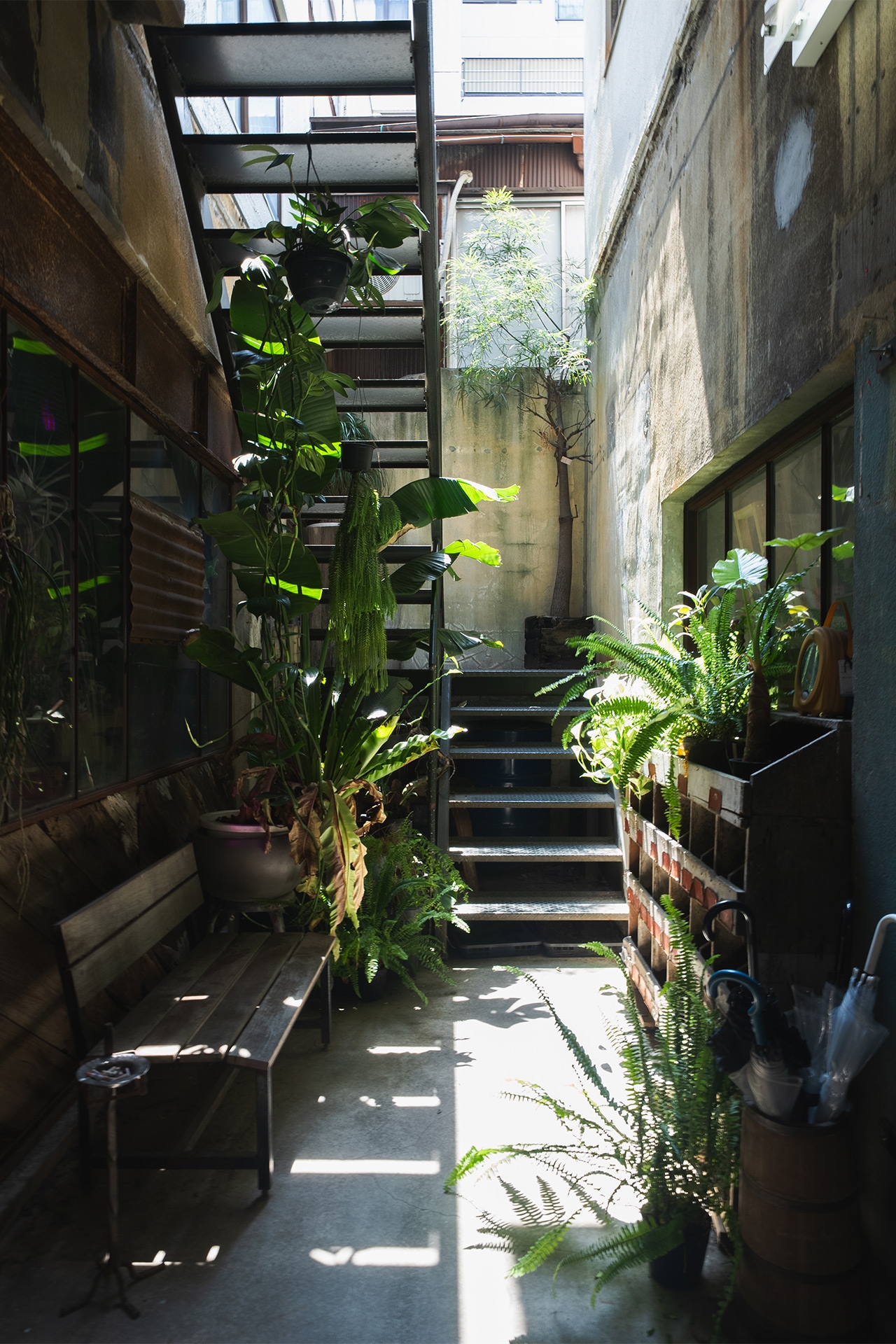 BOOK CAFE 外階段