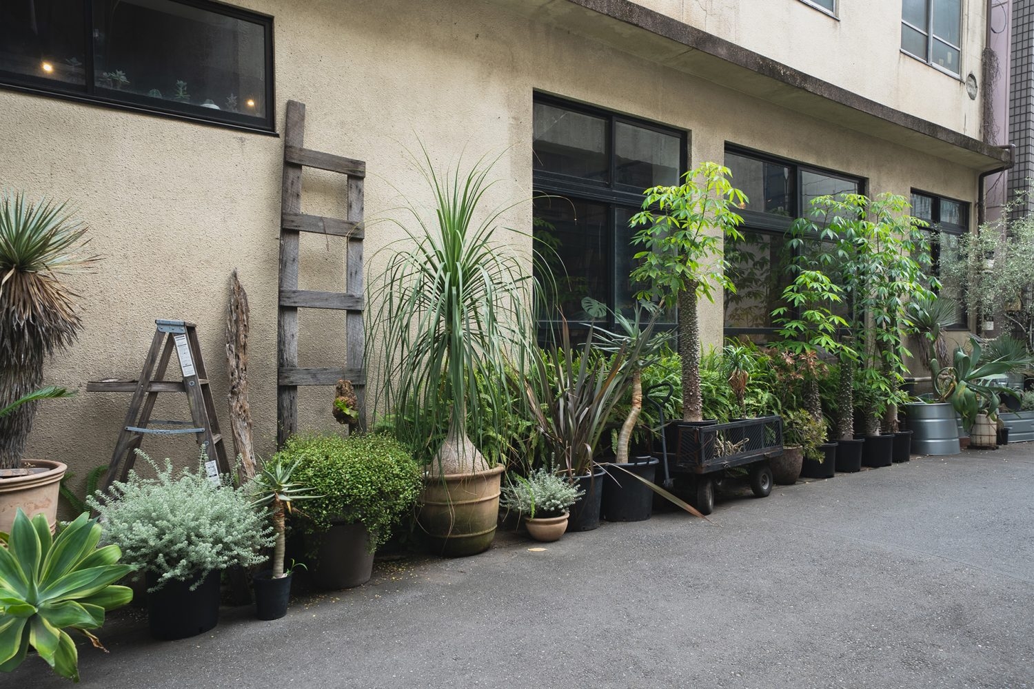BOOK CAFE 外観