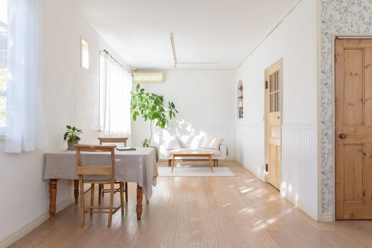 2Fは日中安定して光がまわる