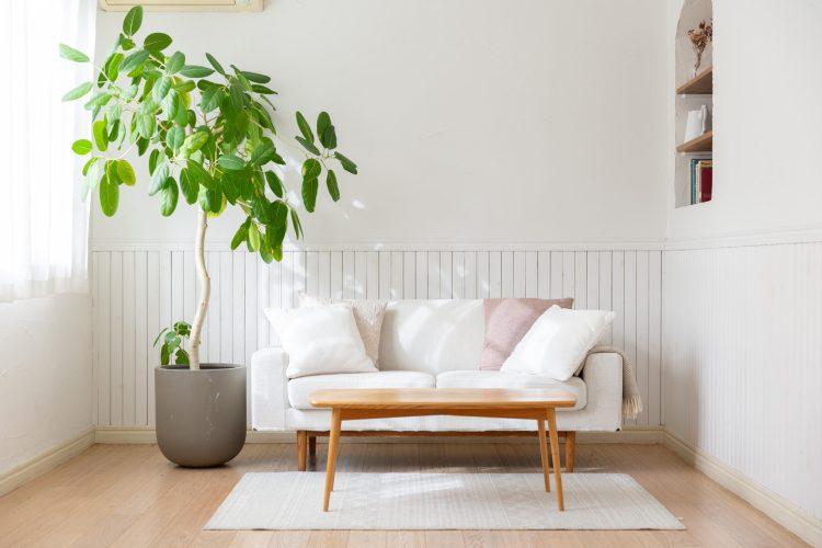 腰高の板壁とアーチ棚が背景のアクセントに