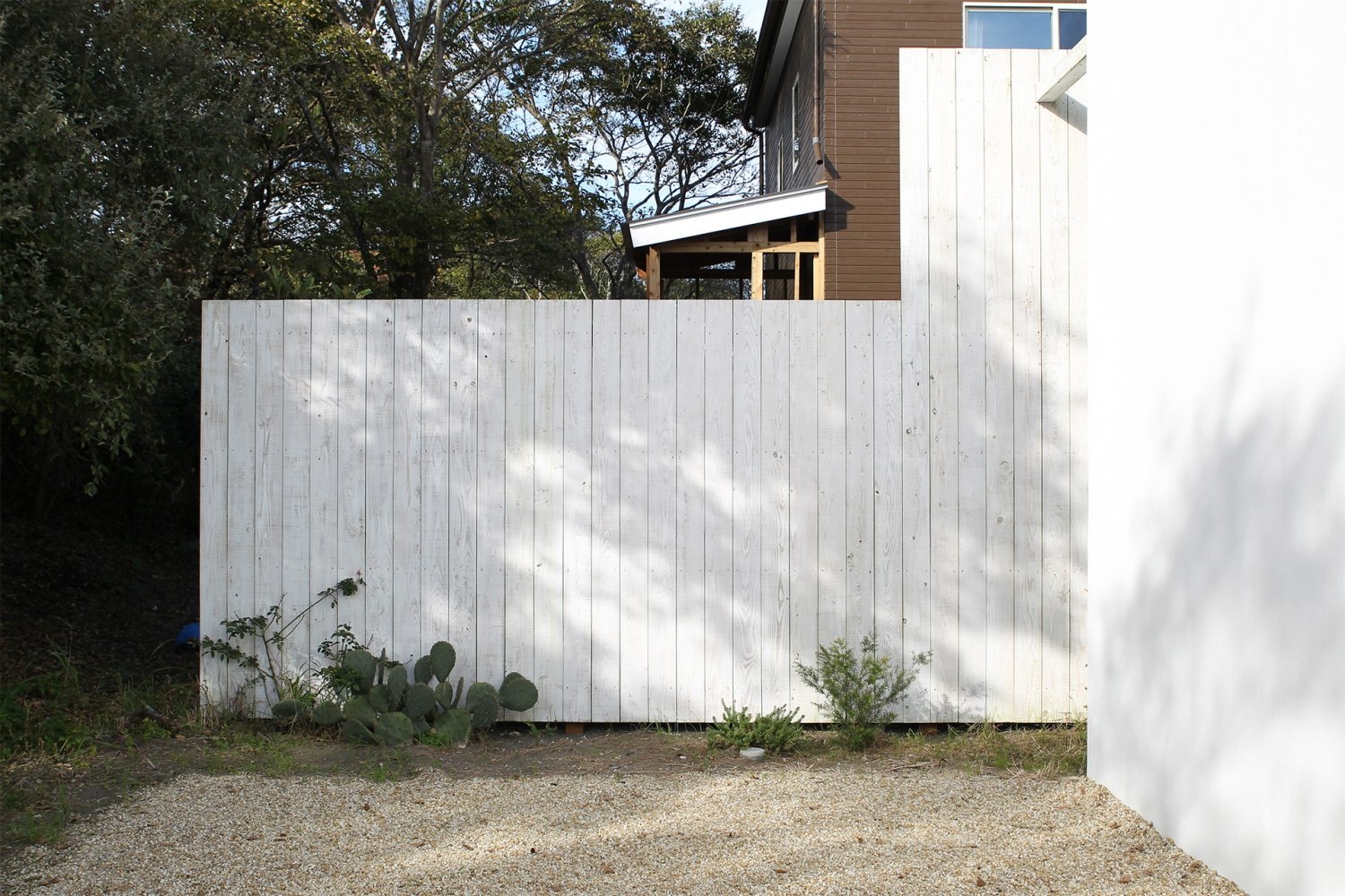 白い板塀を背景に撮影も