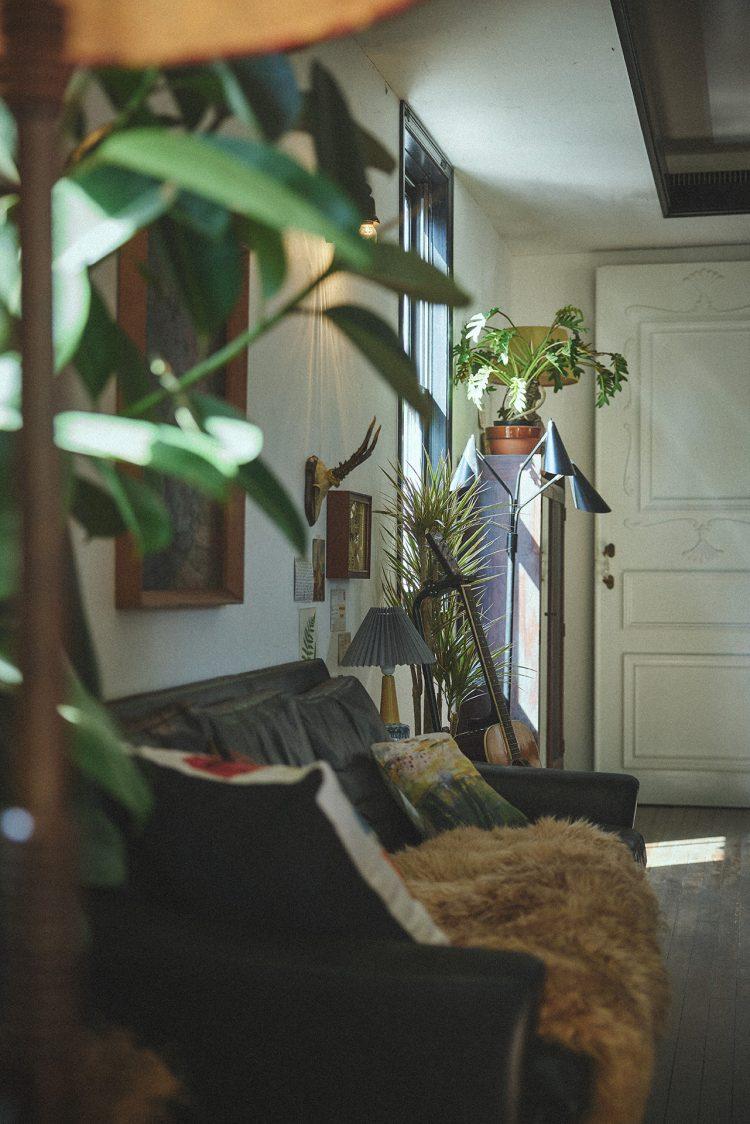 植物前ボケで空間の広がりと没入感を