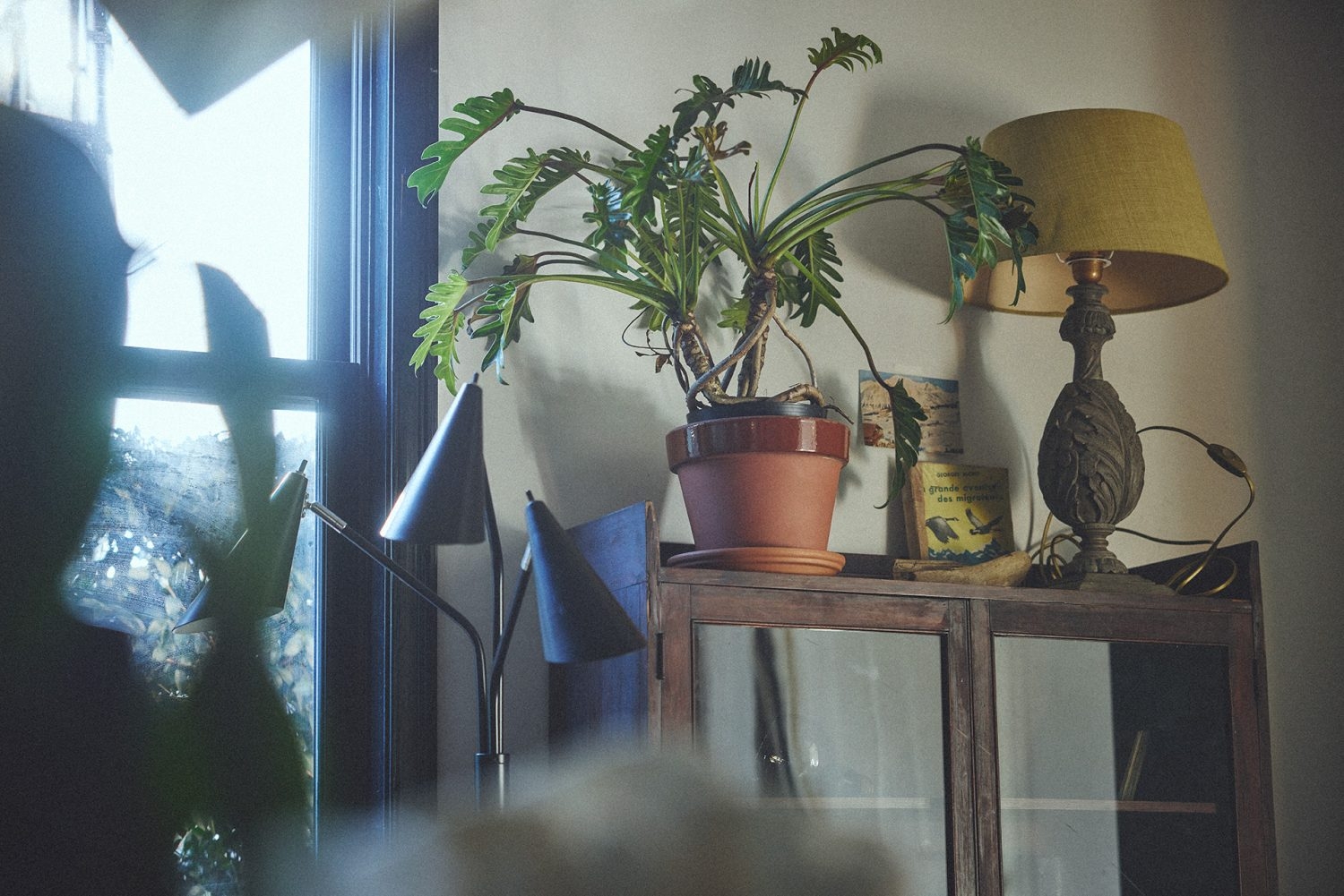 植物やテーブルランプなどプロップ豊富