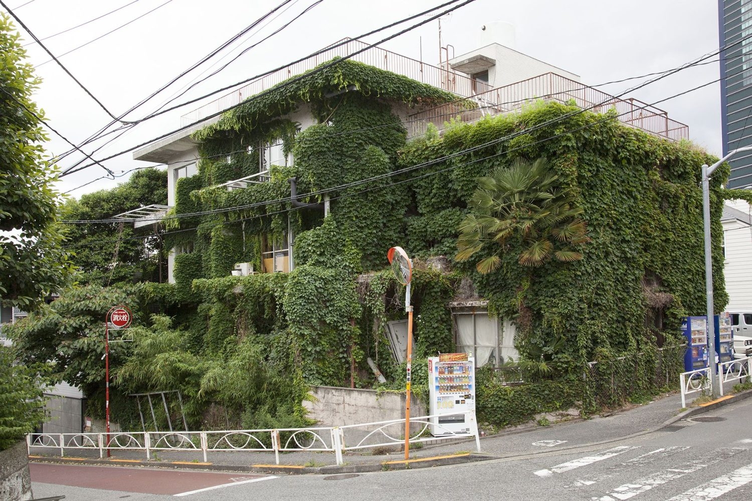 みどり荘 / 外観全体