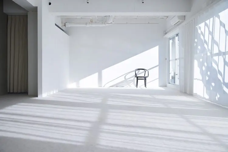 501 たっぷり差し込む自然光