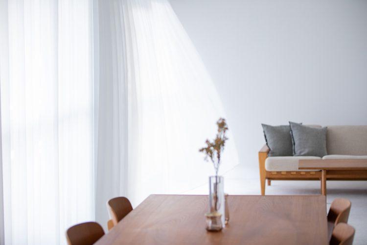 501 曇りの日のやわらかい光