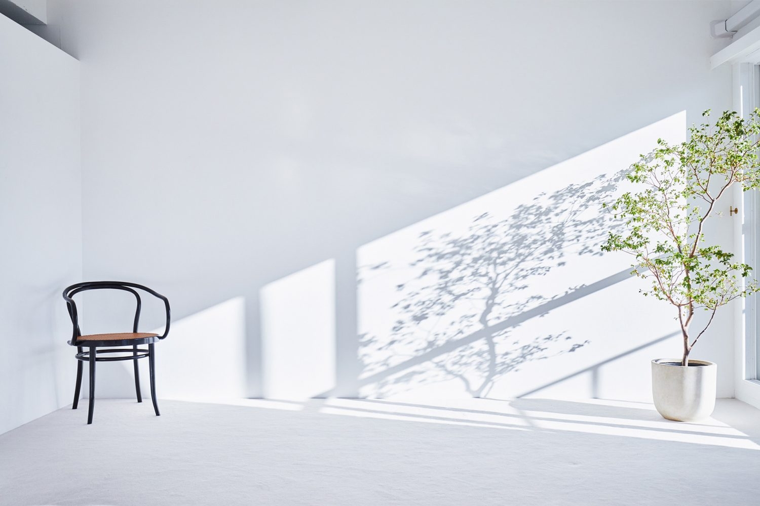 501 グリーンと落ちる影