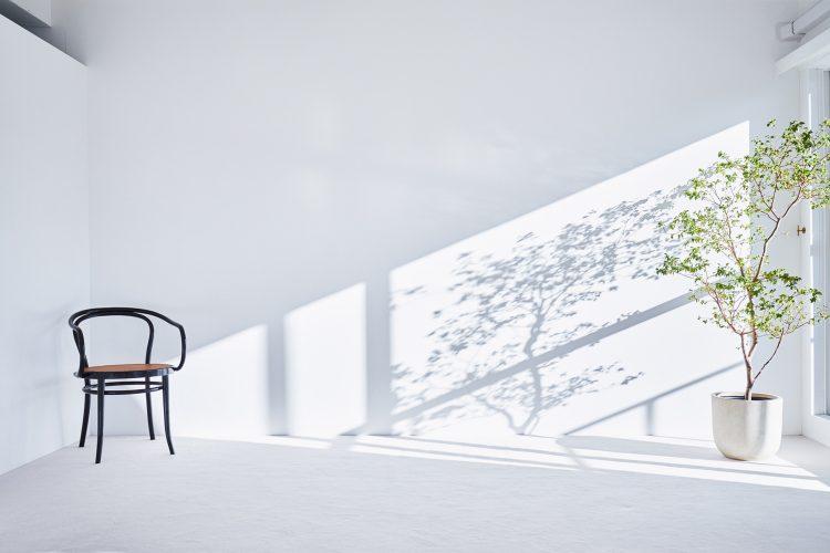 501 グリーンと落ちる影