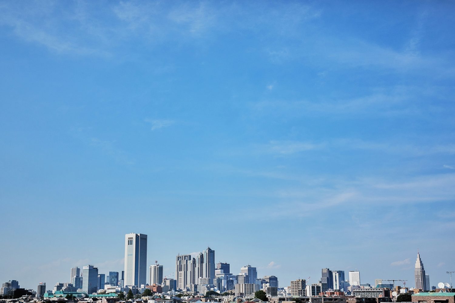オプション：東京の景色が広がる屋上