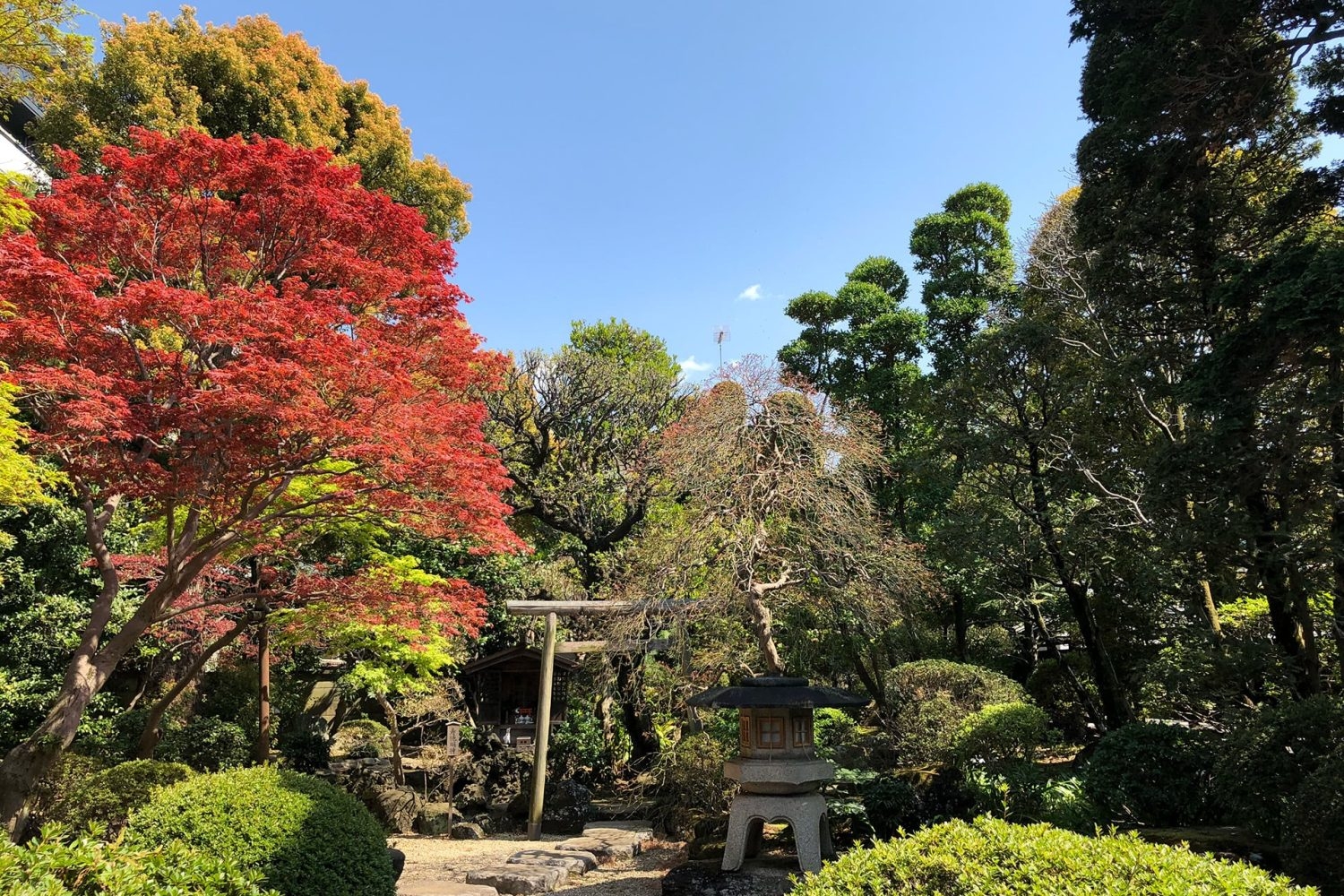 四季折々の異なる風景