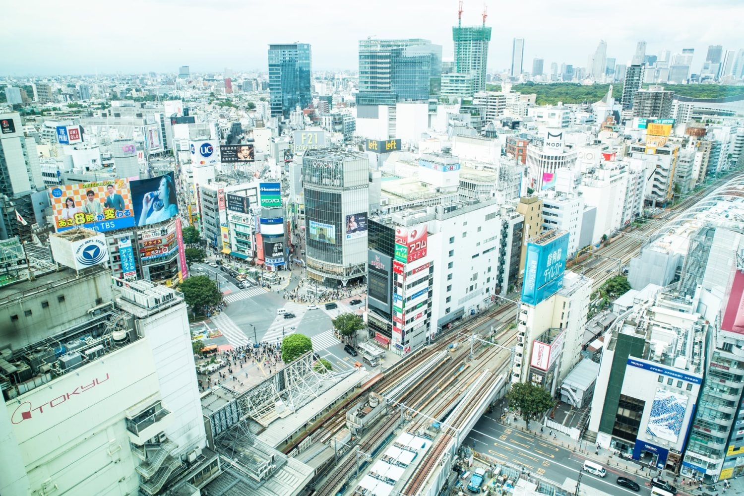 渋谷駅から代々木公園まで